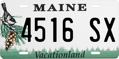ME license plate 4516SX