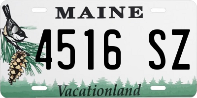 ME license plate 4516SZ