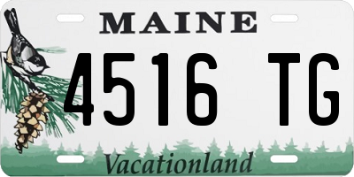 ME license plate 4516TG