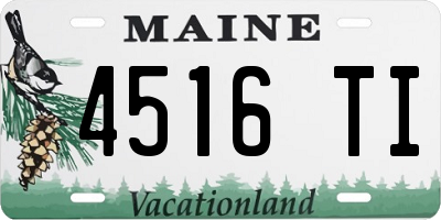ME license plate 4516TI