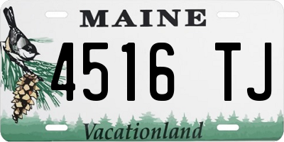 ME license plate 4516TJ