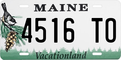 ME license plate 4516TO
