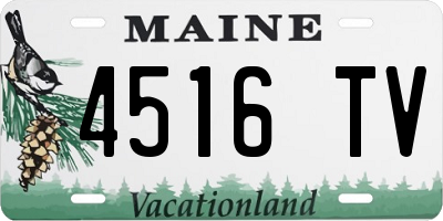 ME license plate 4516TV