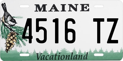 ME license plate 4516TZ