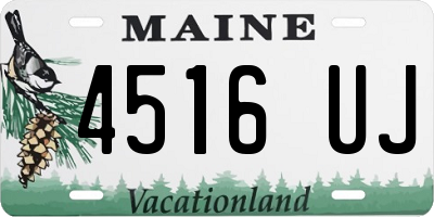 ME license plate 4516UJ