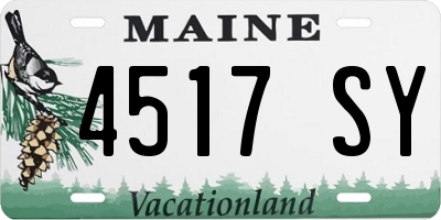 ME license plate 4517SY