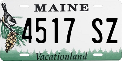 ME license plate 4517SZ