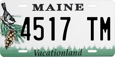 ME license plate 4517TM