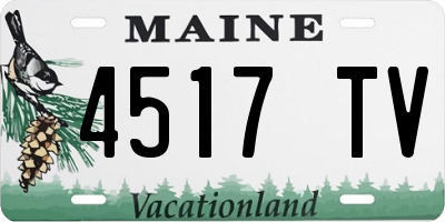 ME license plate 4517TV