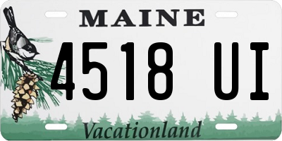ME license plate 4518UI