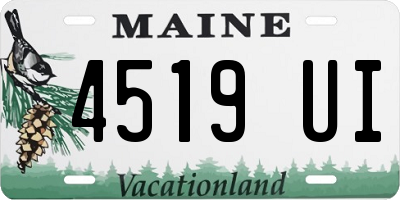 ME license plate 4519UI