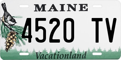 ME license plate 4520TV