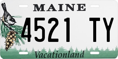 ME license plate 4521TY