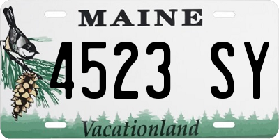 ME license plate 4523SY