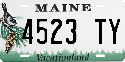 ME license plate 4523TY
