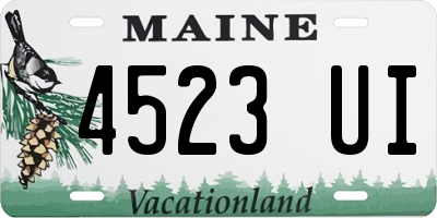 ME license plate 4523UI