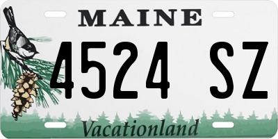 ME license plate 4524SZ