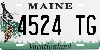ME license plate 4524TG