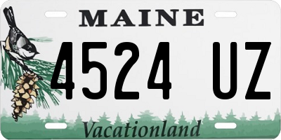 ME license plate 4524UZ