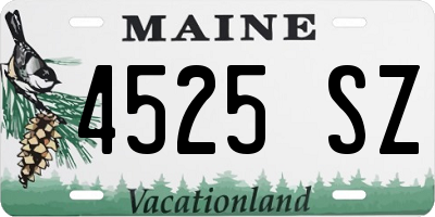 ME license plate 4525SZ