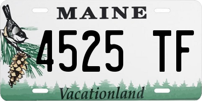 ME license plate 4525TF