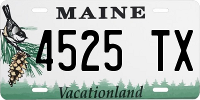 ME license plate 4525TX