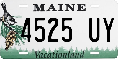 ME license plate 4525UY