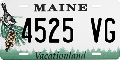 ME license plate 4525VG