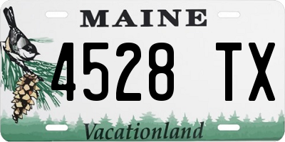 ME license plate 4528TX
