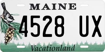 ME license plate 4528UX