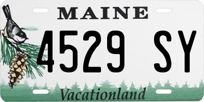 ME license plate 4529SY