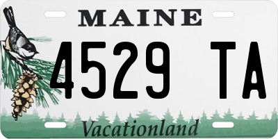 ME license plate 4529TA