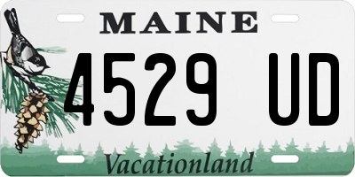 ME license plate 4529UD