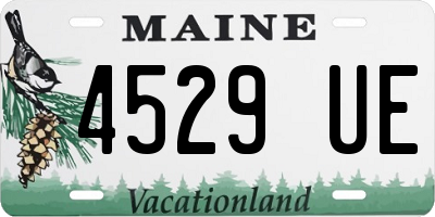 ME license plate 4529UE