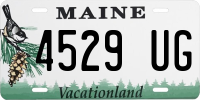 ME license plate 4529UG