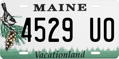 ME license plate 4529UO