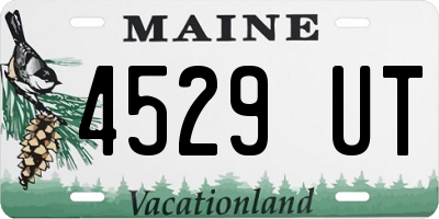 ME license plate 4529UT