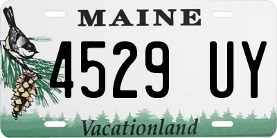ME license plate 4529UY