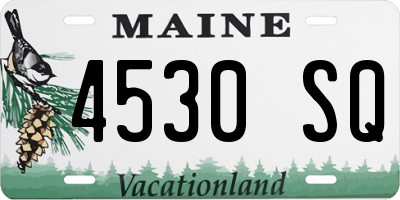 ME license plate 4530SQ