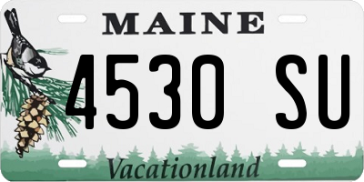 ME license plate 4530SU