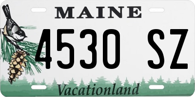 ME license plate 4530SZ