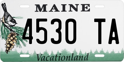ME license plate 4530TA