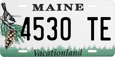 ME license plate 4530TE