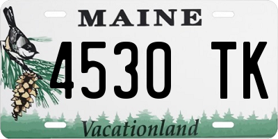 ME license plate 4530TK
