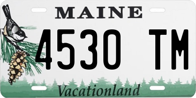 ME license plate 4530TM