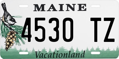 ME license plate 4530TZ