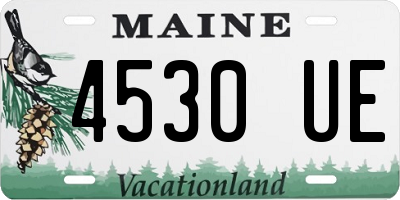 ME license plate 4530UE