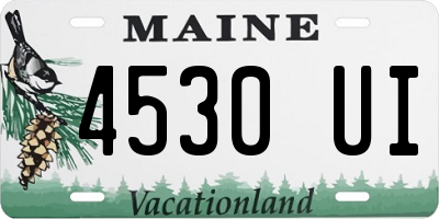 ME license plate 4530UI