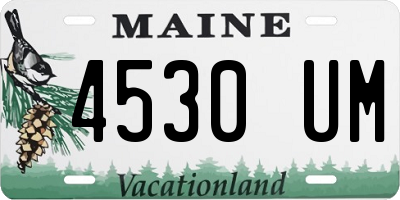 ME license plate 4530UM