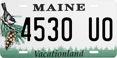 ME license plate 4530UO